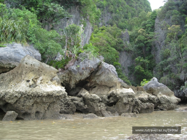 photo 772556
