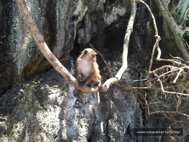 photo 772564