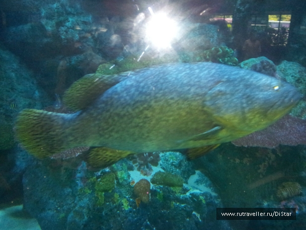 photo 772572