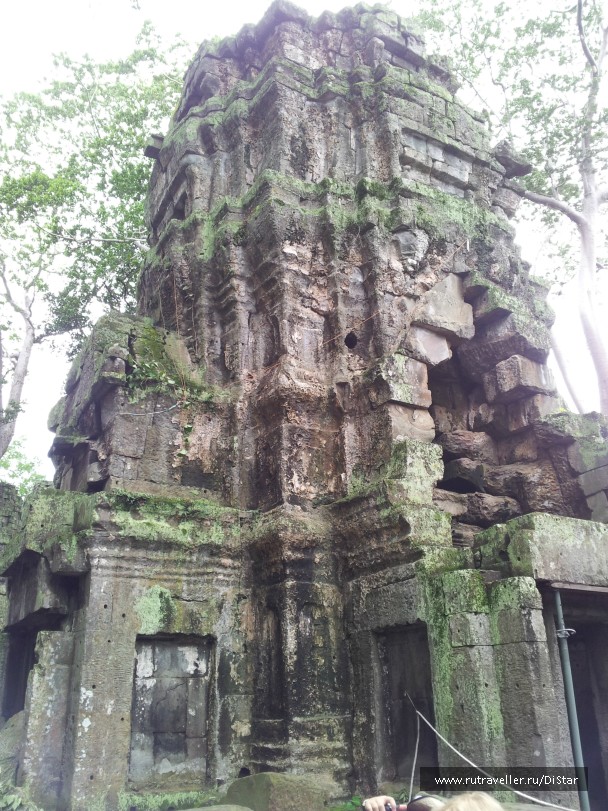 photo 772573