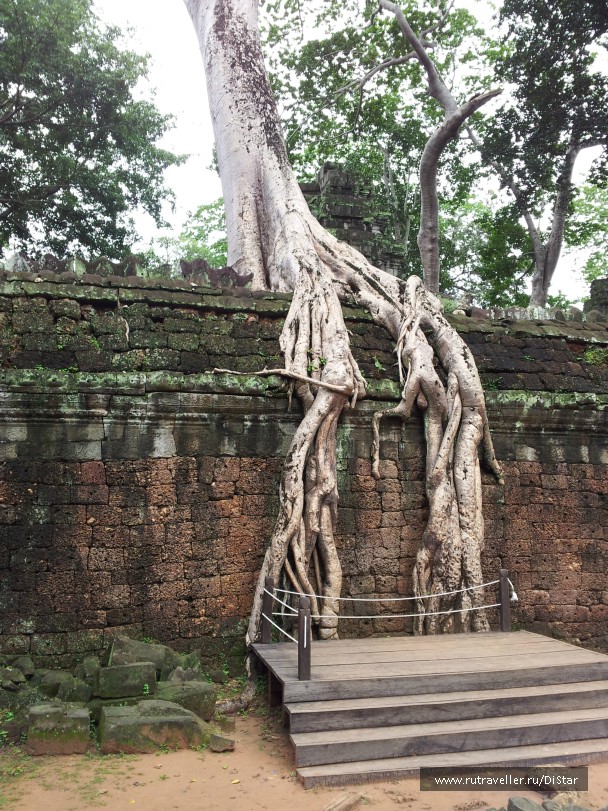 photo 772574