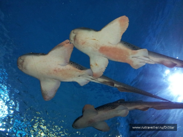 photo 772576