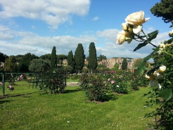 photo 734272