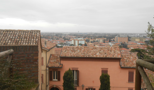 DSCN7706