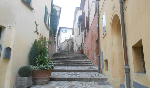DSCN7682