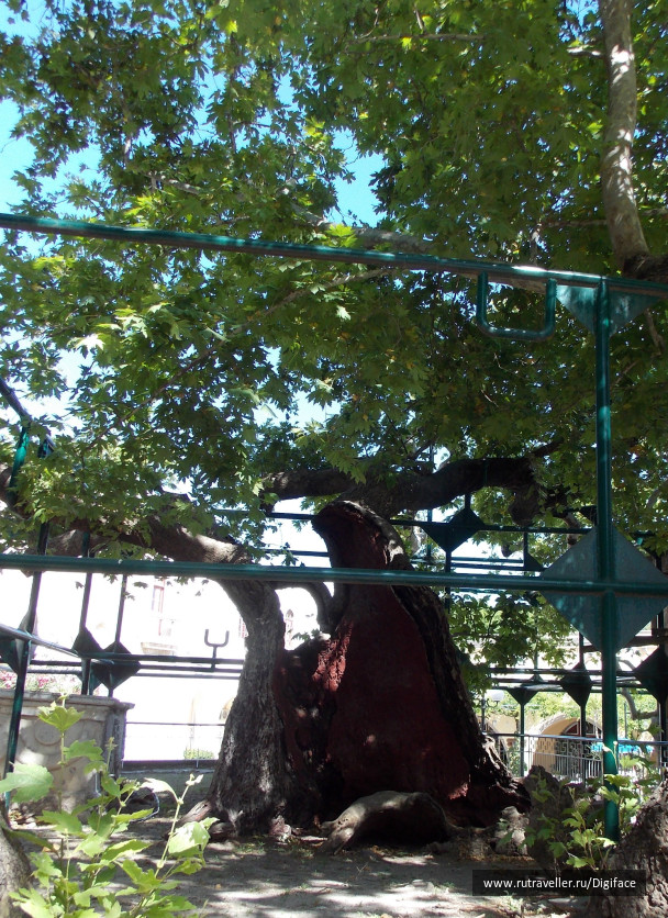 photo 415617