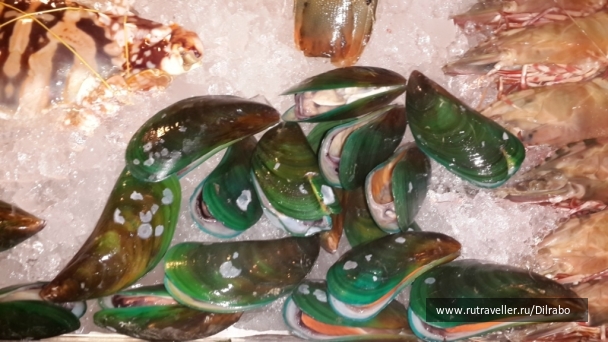 photo 862525