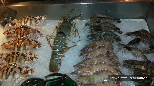 photo 862526