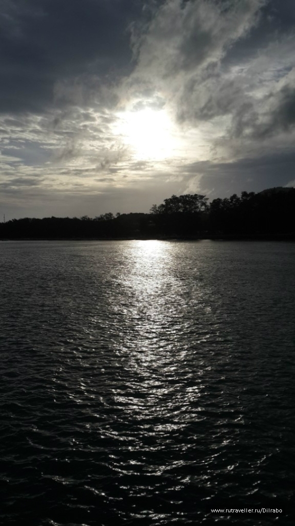 photo 862542