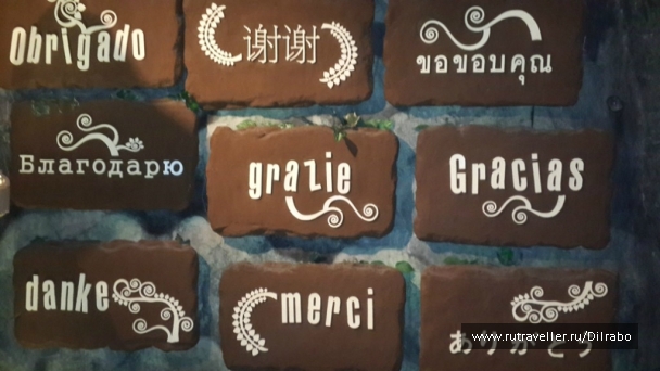 photo 862565