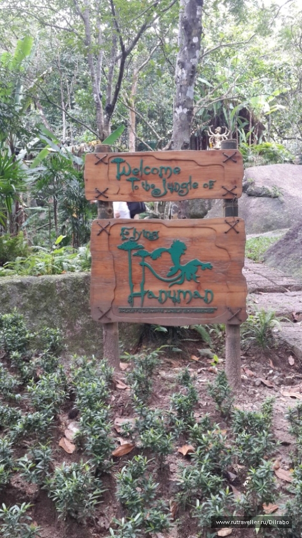 photo 862574