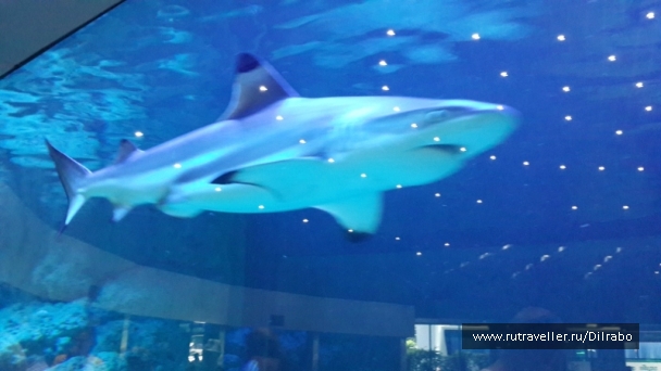 photo 862575