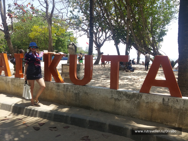 photo 1586146