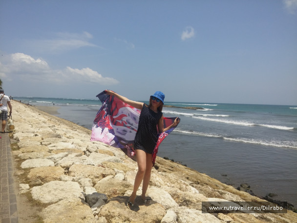 photo 1586147