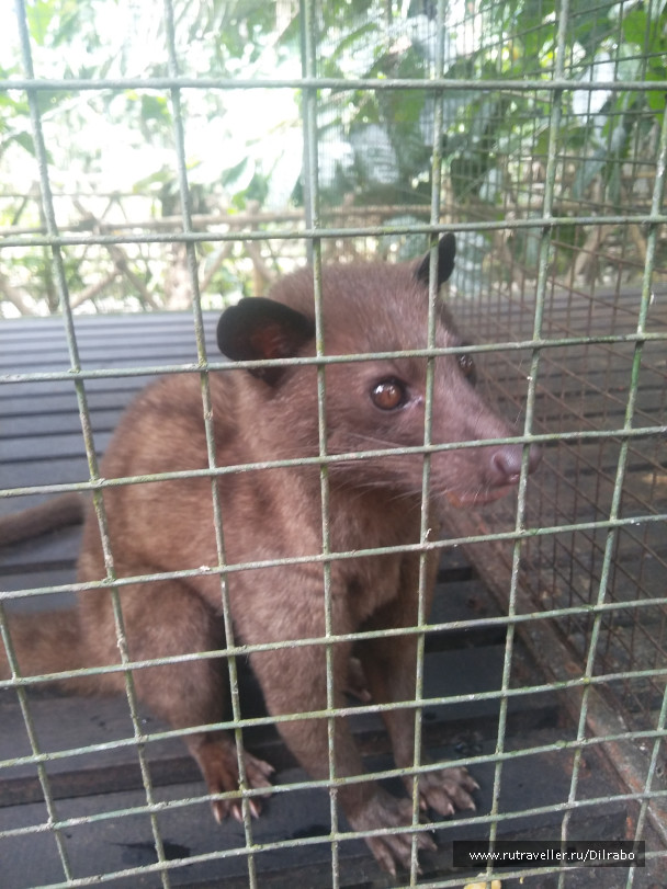 photo 1586162