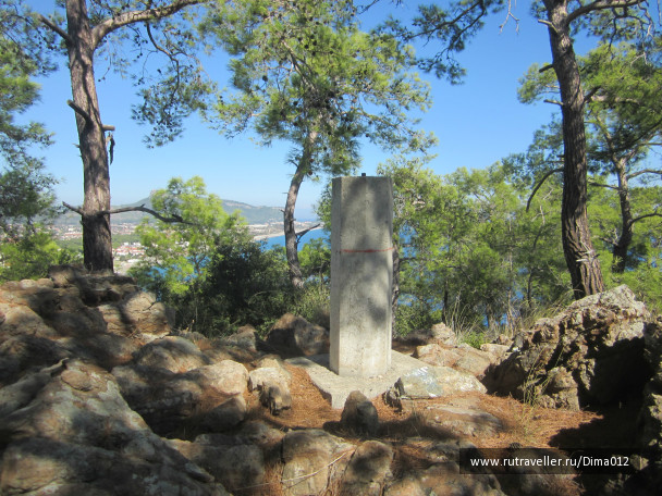 photo 986855