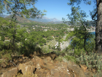 photo 986856