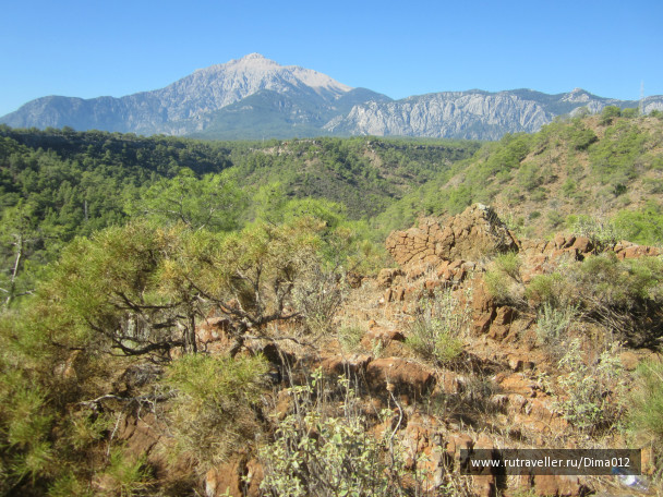 photo 986863