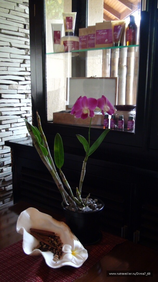 photo 16755