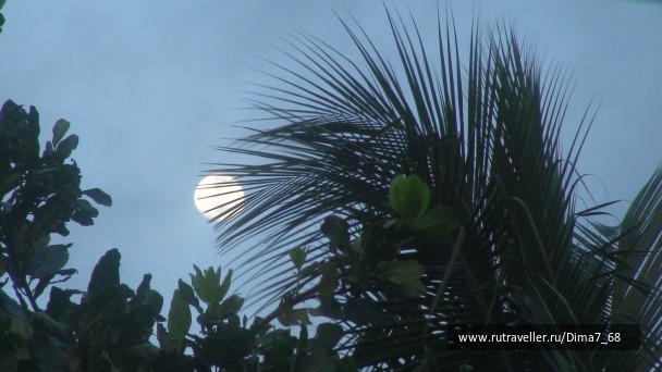 photo 16762