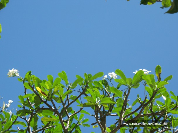 photo 16792
