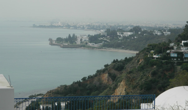 DSCN2646