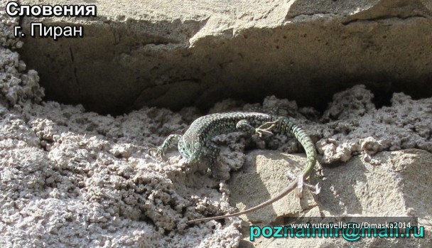 photo 1084083