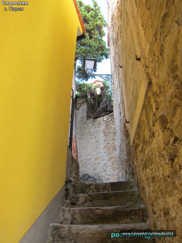 photo 1084085