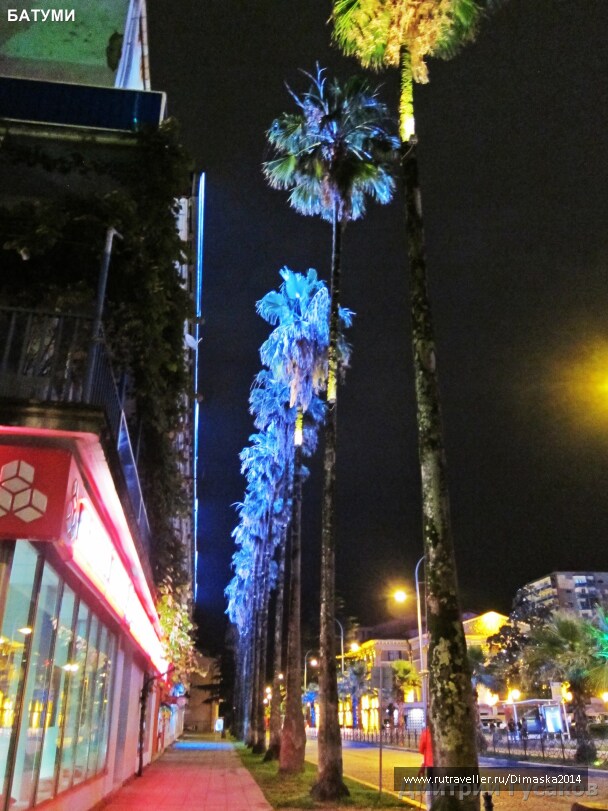 photo 1084331