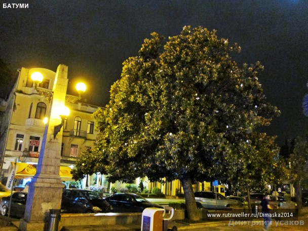 photo 1084336