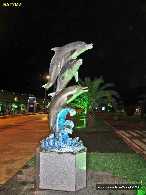 photo 1084355