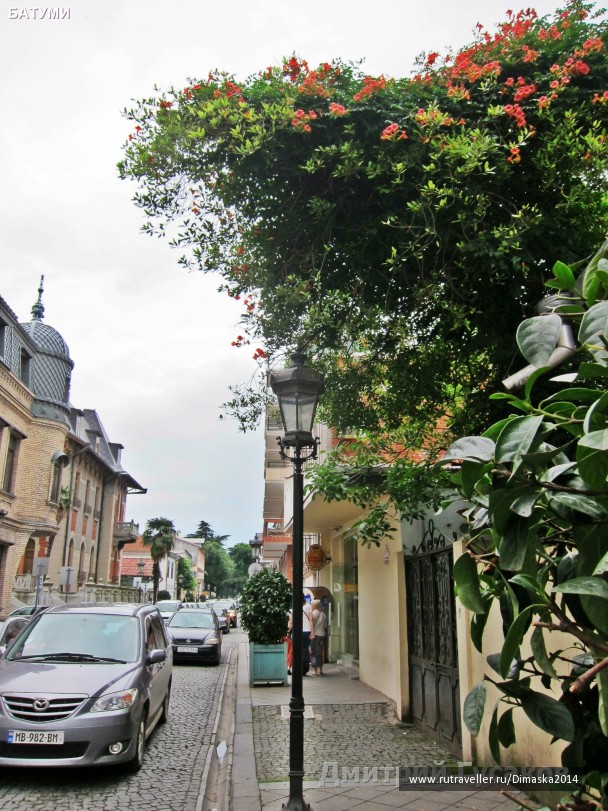 photo 1084398