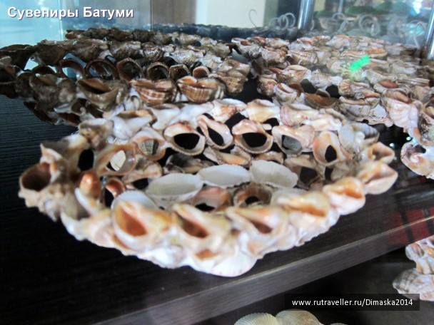 photo 1084461