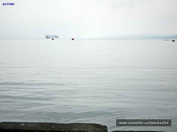 photo 1084481