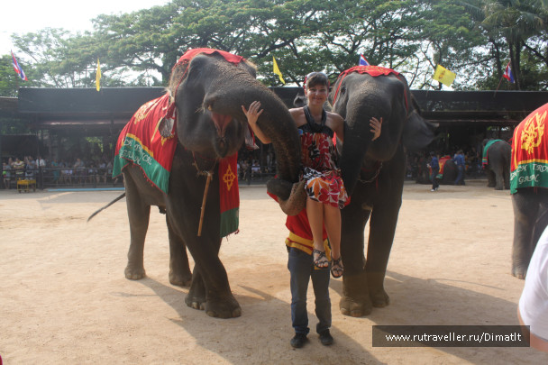 photo 87547