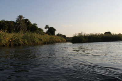 photo 135542