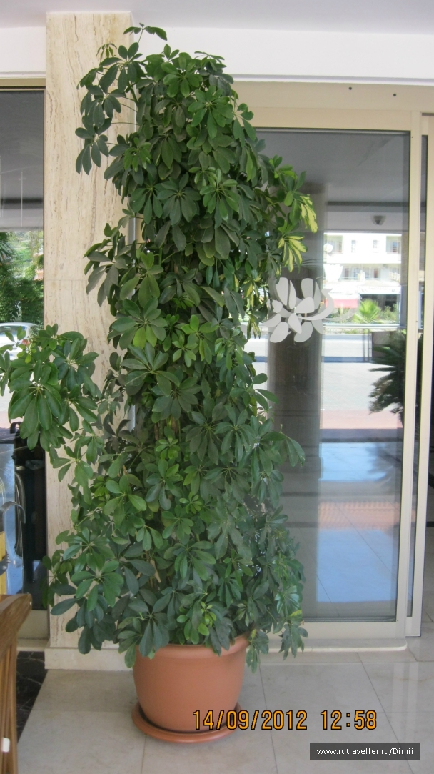 photo 843325