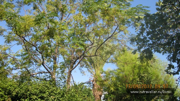 photo 843326