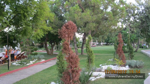 photo 843331