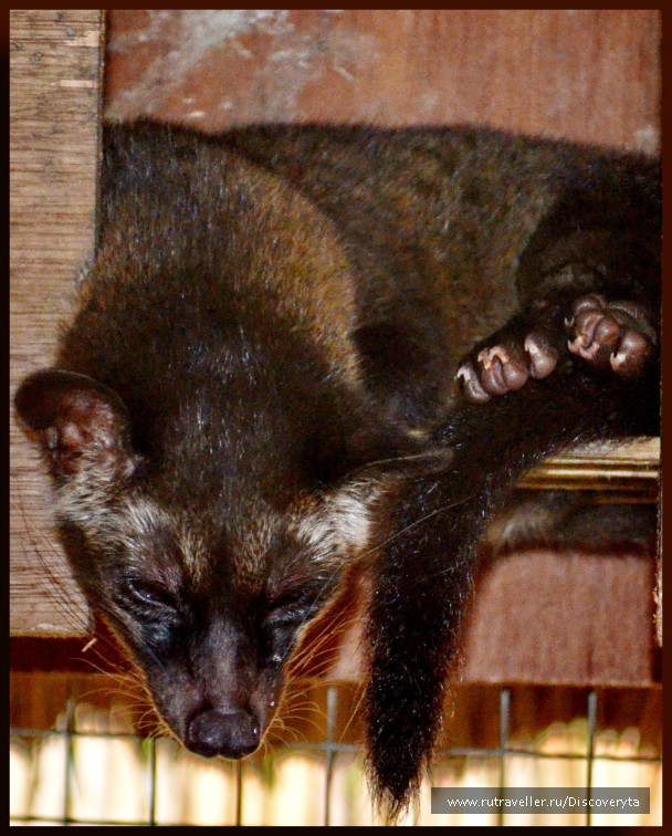 photo 244371