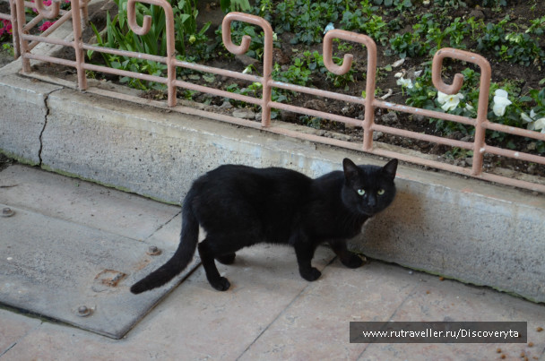 photo 79196