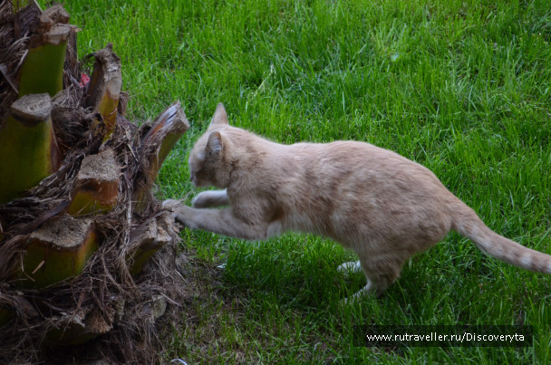 photo 79197
