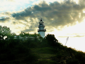 photo 247437