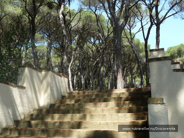 photo 458517