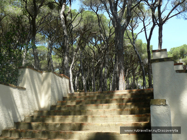 photo 458563