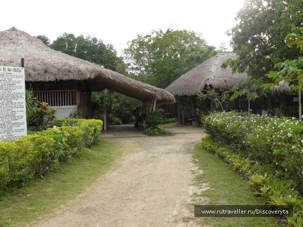 photo 460735