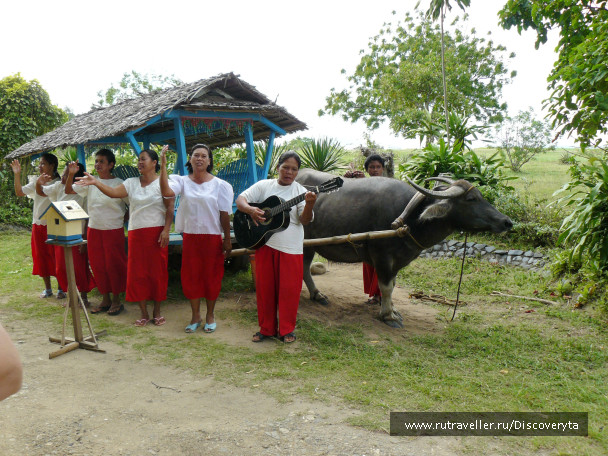 photo 460738