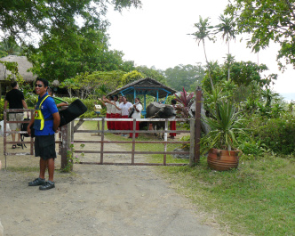 photo 460739