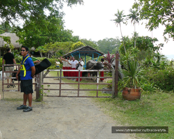 photo 460739