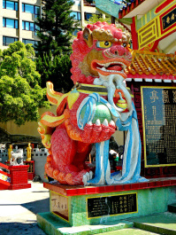 photo 244696
